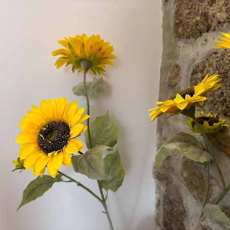 Casa Das Flores オリヴェイラ・ド・オスピタル エクステリア 写真