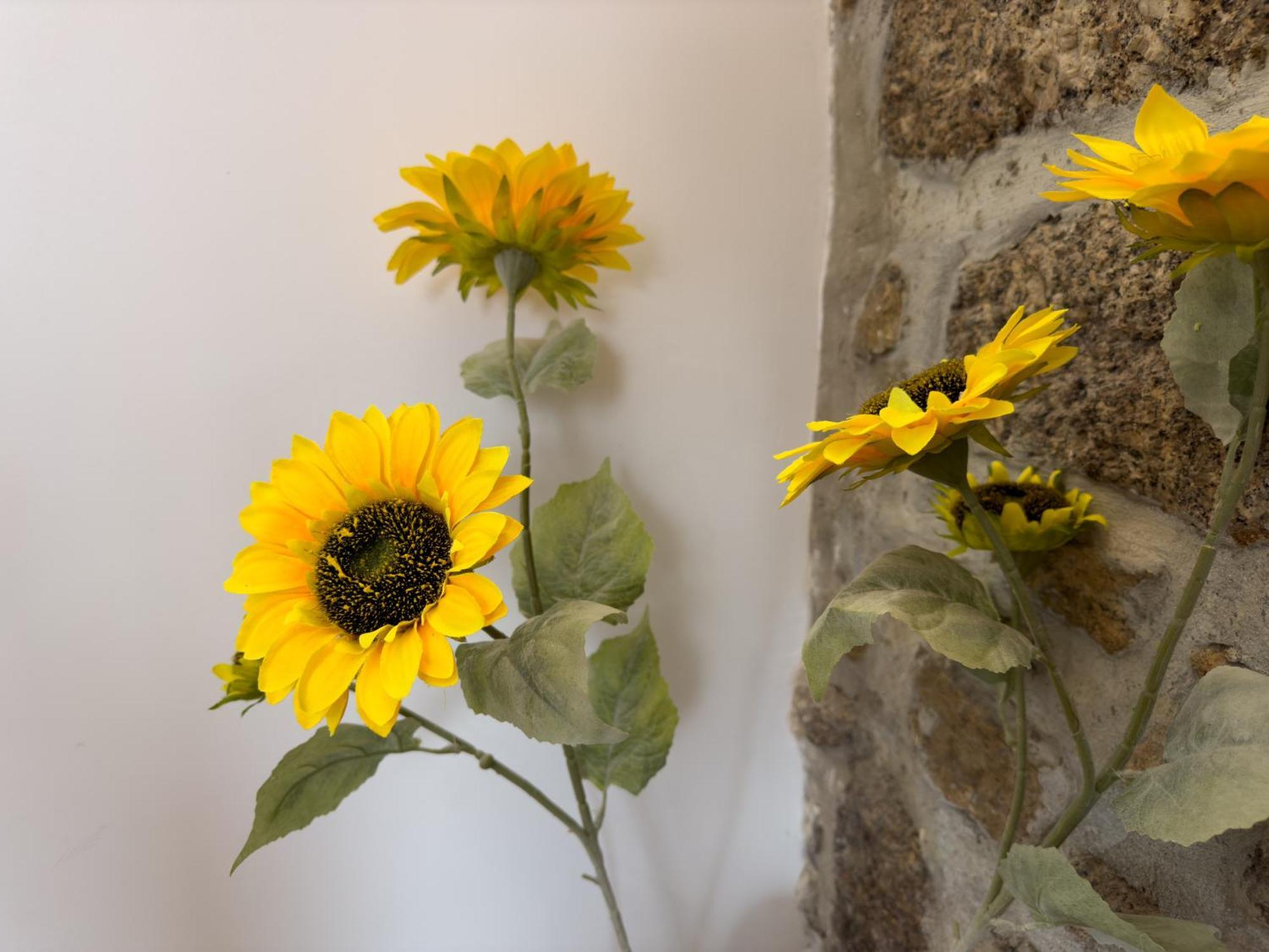 Casa Das Flores オリヴェイラ・ド・オスピタル エクステリア 写真